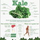 Feaga Life Dietary Supplement Organic Kale Powder 200 g.