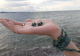 Author's Jewelry Handmade Iranian Turquoise Set